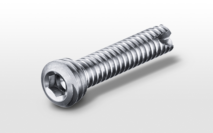 TORNILLO | MEDICINA